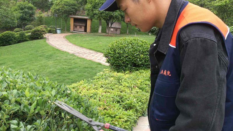 公园景观工程报价明细：揭秘常见项目构成**