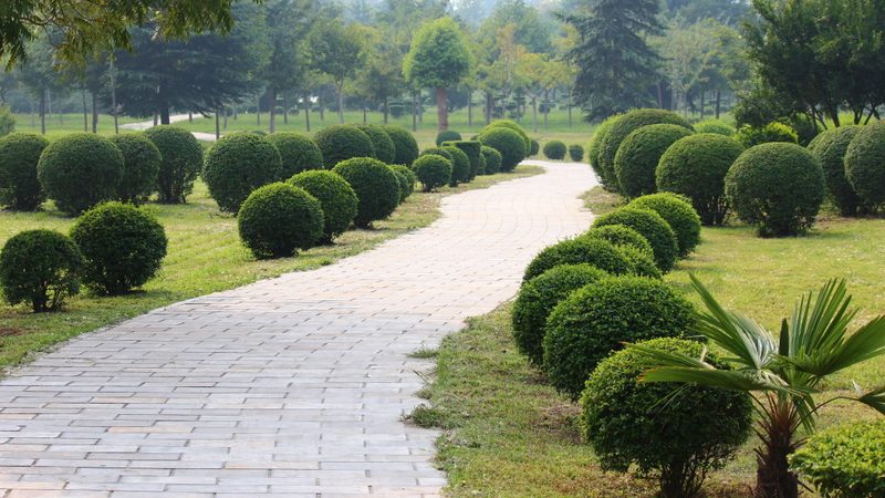 青州市花卉苗木专业合作社