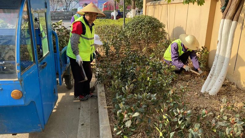 绿化土建工程技术参数：关键指标与标准解读**