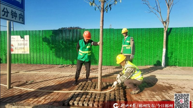 自动割草机器人排名背后的三个认知陷阱