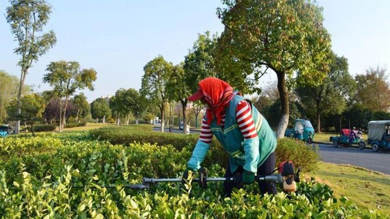 成都别墅花园设计材料选购攻略：如何挑选品质与风格的完美融合**