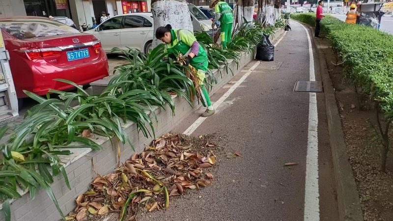 小区垂直绿化墙，施工公司如何选择？**