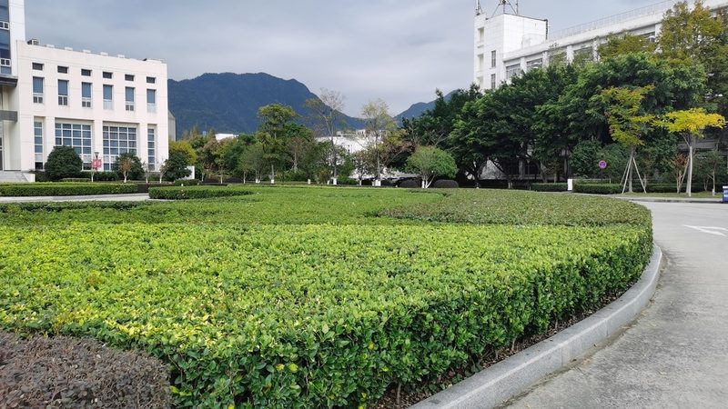 小区绿化验收标准规范2024：验收要点与标准解读