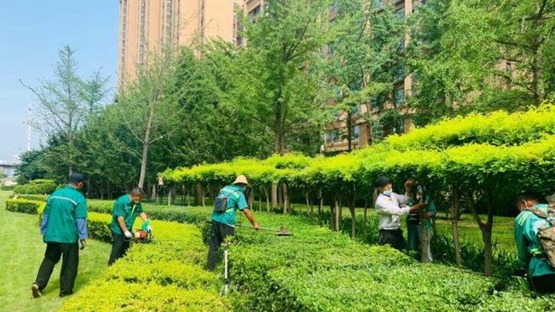 工厂绿化养护人工费如何计算？**